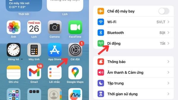 +86 [số điện thoại] để kết nối nhanh và chính xác