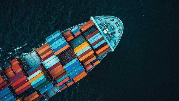 D/O là gì? Hướng dẫn lấy lệnh D/O từ A - Z