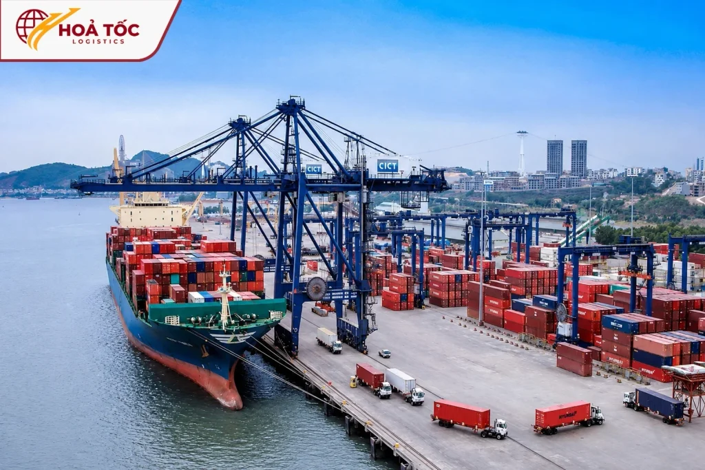 Nhập hàng chính ngạch China bằng đường biển